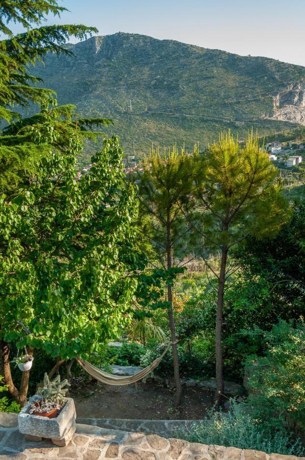 Villa Blanka Žrnovnica Εξωτερικό φωτογραφία
