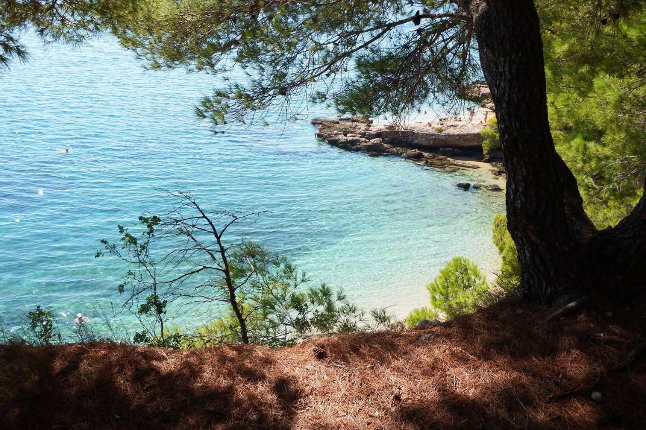 Villa Blanka Žrnovnica Εξωτερικό φωτογραφία
