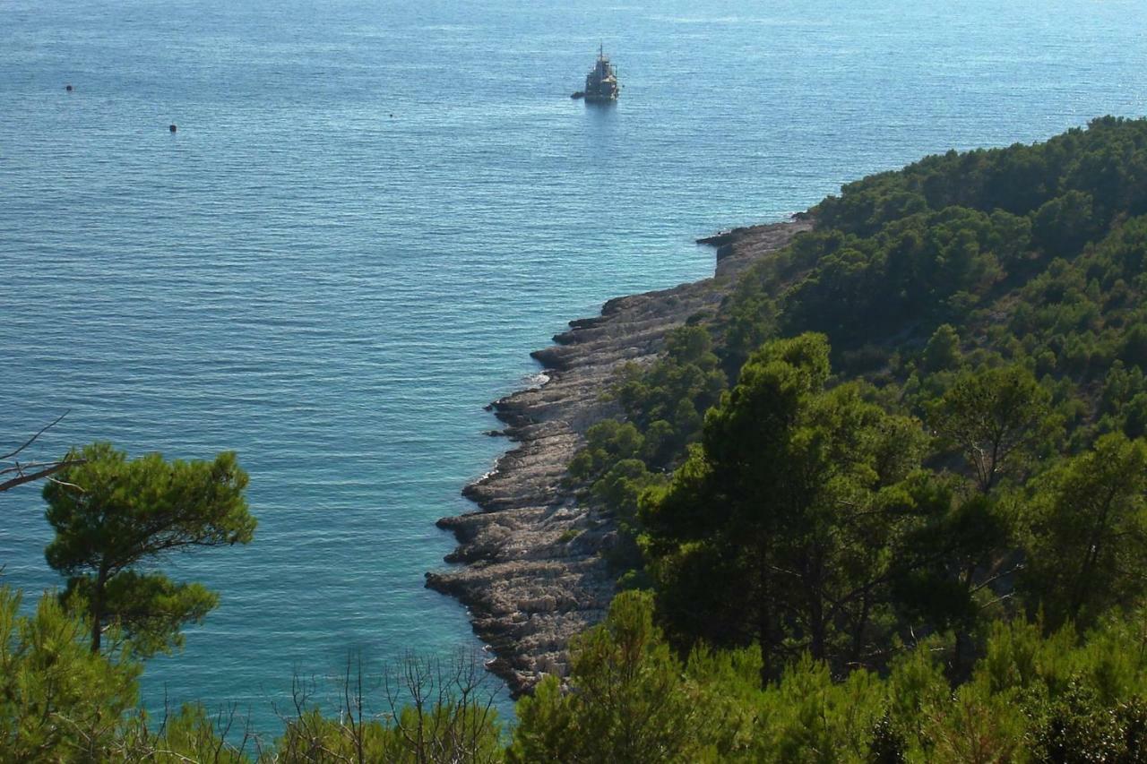 Villa Blanka Žrnovnica Εξωτερικό φωτογραφία